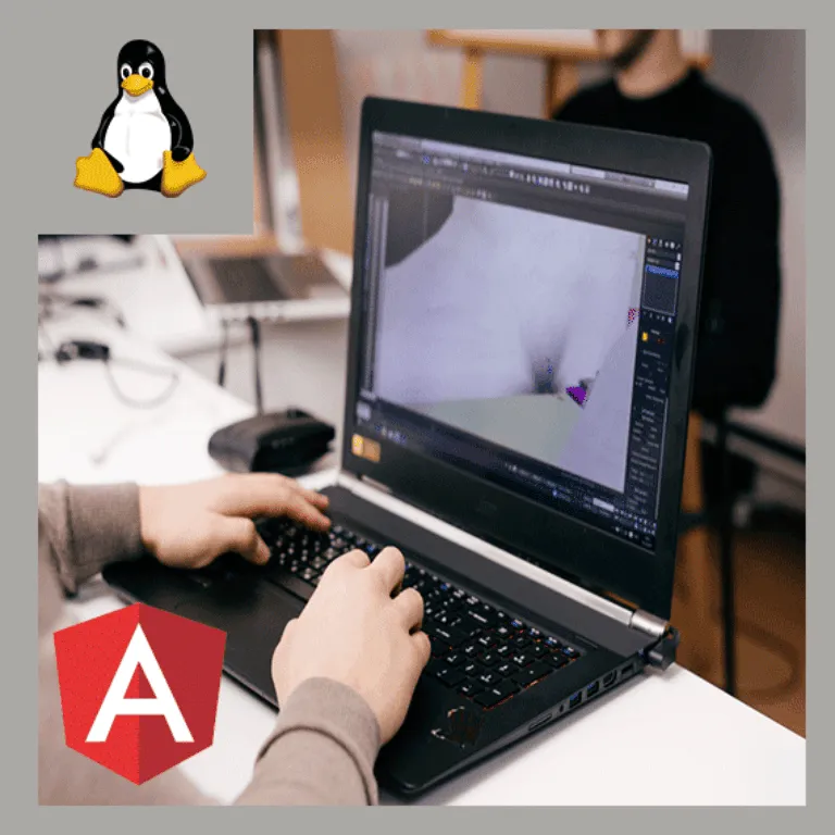Desarrollo Web con Angular