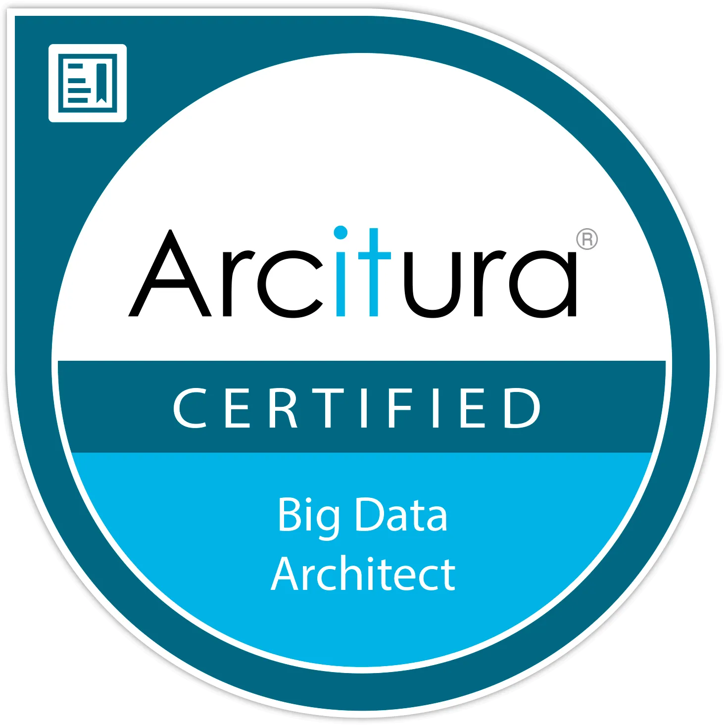Big Data