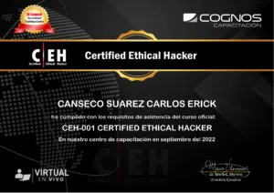 Certificado 7