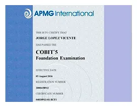 Certificado 8