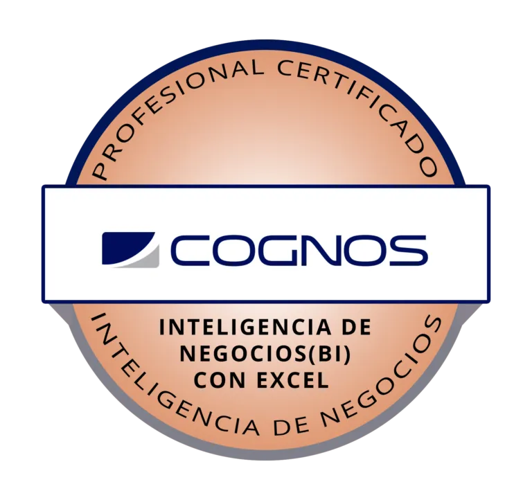 PROFESIONAL CERTIFICADO EN BI CON EXCEL