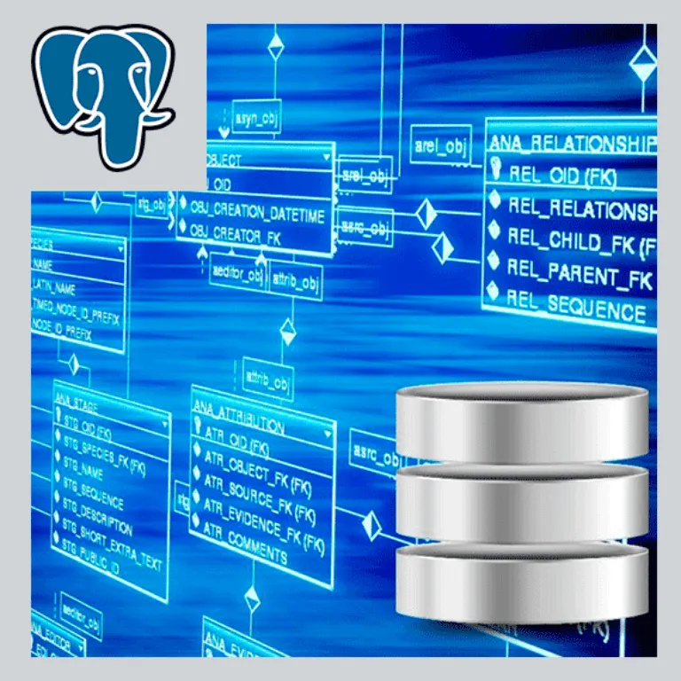 DBMS