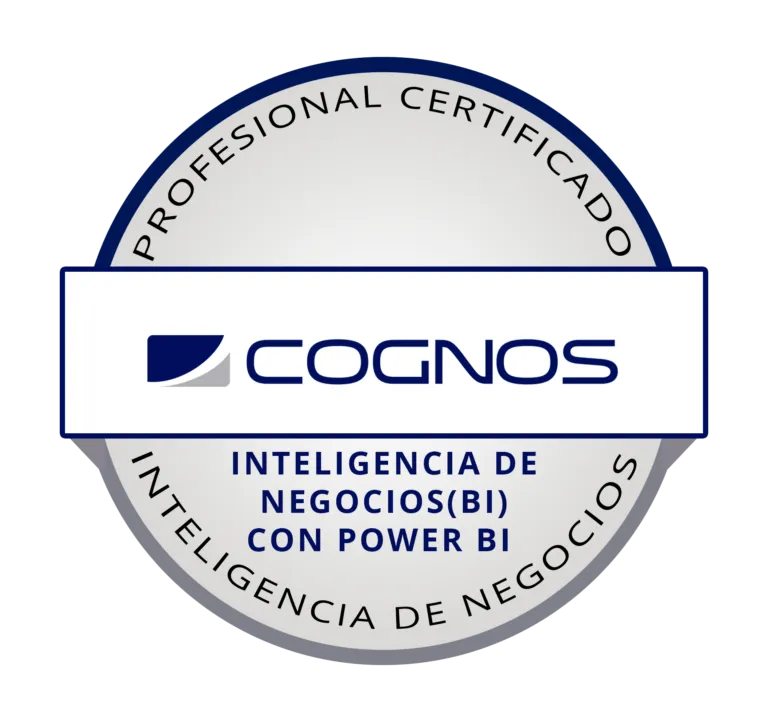 Insignia Power BI