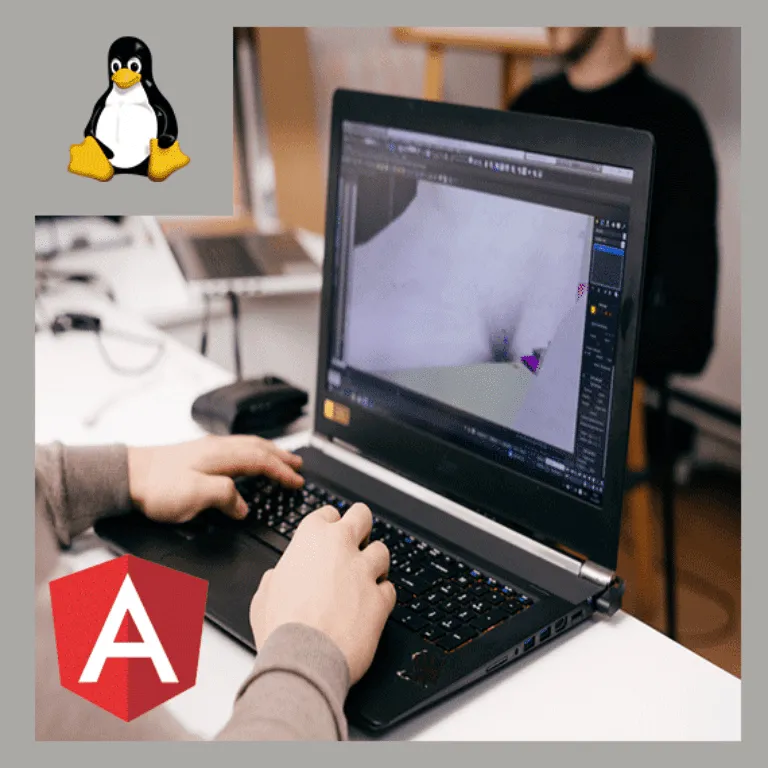 Desarrollo Web con Angular 11