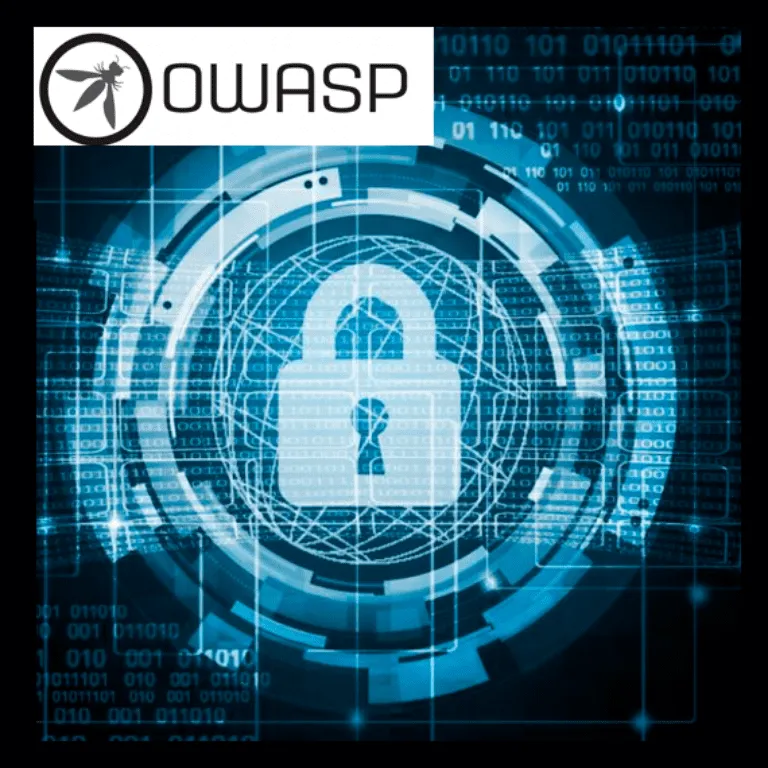Desarrollo Seguro de Aplicaciones Web Basado en OWASP