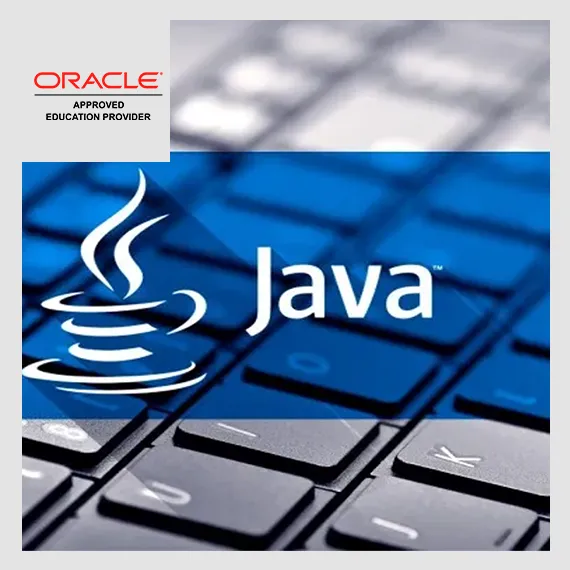 Java SE 11: Programación Completa (Java SE 11: Programming Complete)