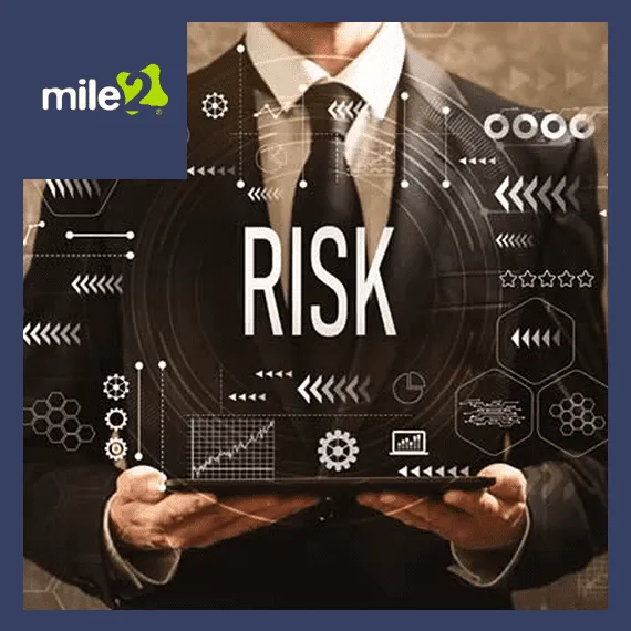 Information Systems Risk Manager