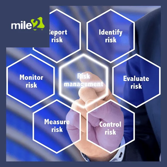 Risk Manager Framework Analyst