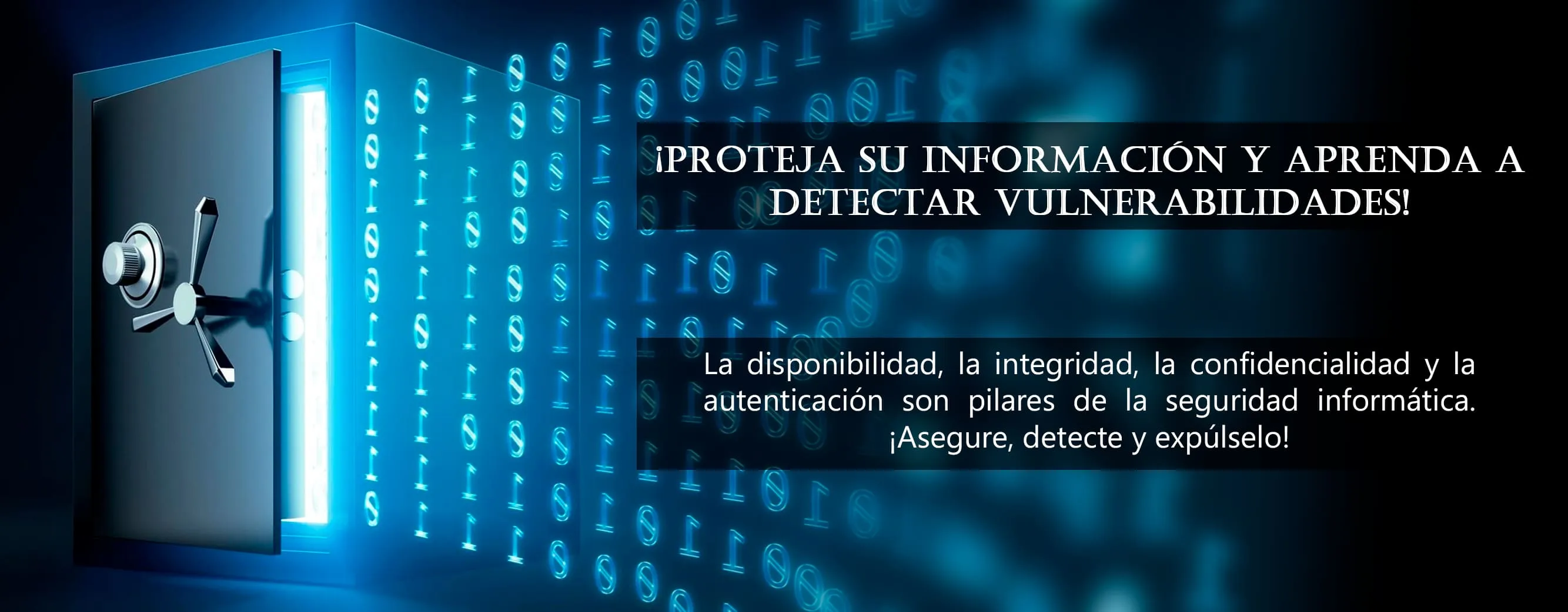 Banner 3