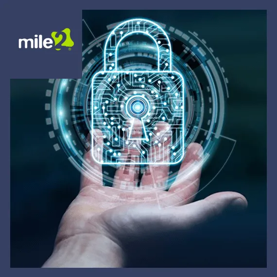 Information Systems Security Manager