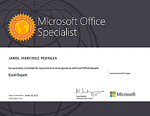 Expert