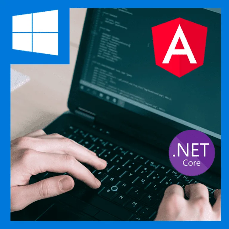 ASP .NET Core 5 con Angular 11