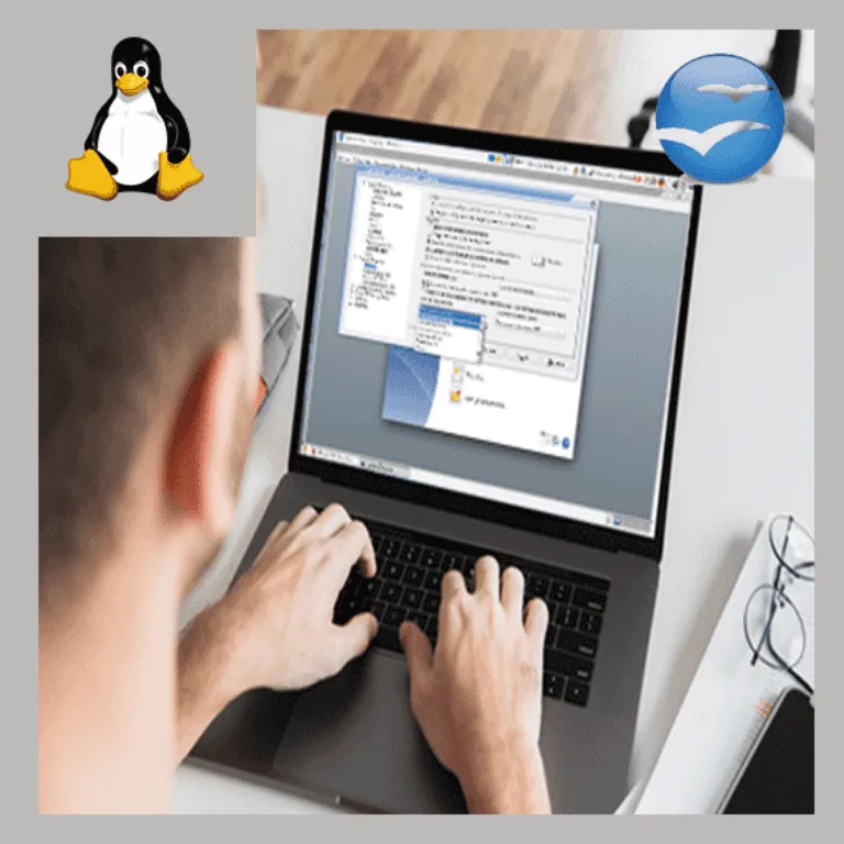 OpenOffice en Internet