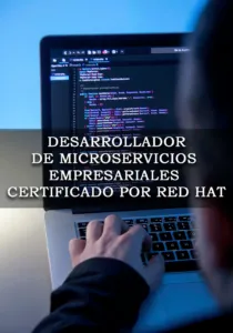 Desarrollador de microservicios empresariales